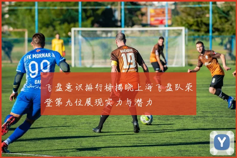 飞盘意识排行榜揭晓上海飞盘队荣登第九位展现实力与潜力
